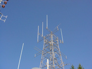 Tower
